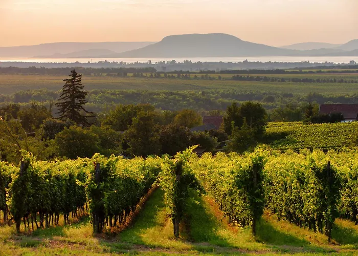 In - Balaton 18584 شقة *